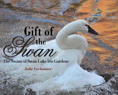 Gift of the Swan: The Swans of Swan Lake Iris Gardens