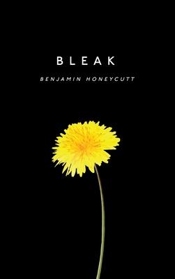 Bleak: A Story of Bullying, Rage and Survival