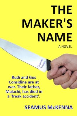 The Maker's Name: A literary, Irish family-saga, for grownups