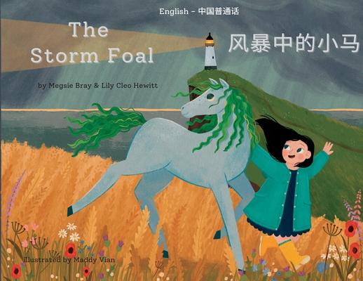 The Storm Foal: &#39118;&#26292;&#20013;&#30340;&#23567;&#39532;