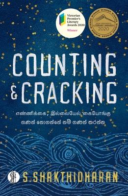 Counting and Cracking