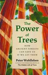 The Power of Trees: How Ancient Forests Can Save Us If We Let Them Subscription