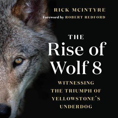 The Rise of Wolf 8: Witnessing the Triumph of Yellowstone's Underdog Subscription