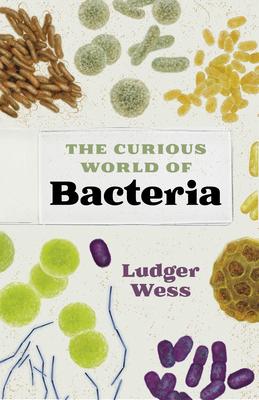 The Curious World of Bacteria