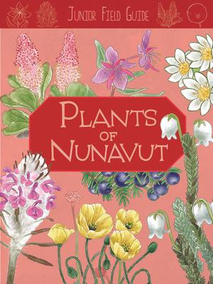 Junior Field Guide: Plants of Nunavut: English Edition