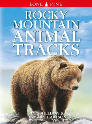 Rocky Mountain Animal Tracks