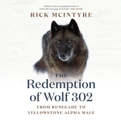 The Redemption of Wolf 302: From Renegade to Yellowstone Alpha Male Subscription
