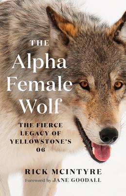 The Alpha Female Wolf: The Fierce Legacy of Yellowstone's 06 Subscription