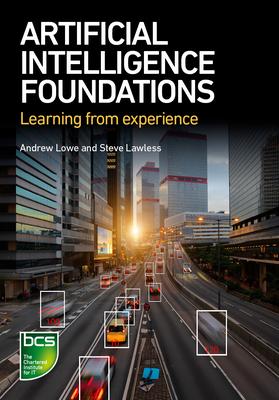 Artificial Intelligence Foundations: Learning from Experience