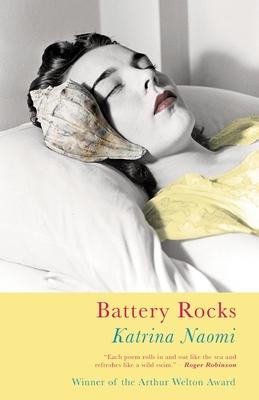 Battery Rocks Subscription