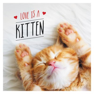 Love Is a Kitten: A Cat-Tastic Celebration of the World's Cutest Kittens