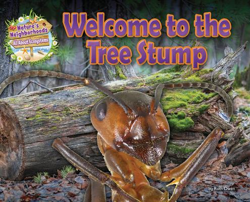 Welcome to the Tree Stump