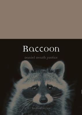 Raccoon