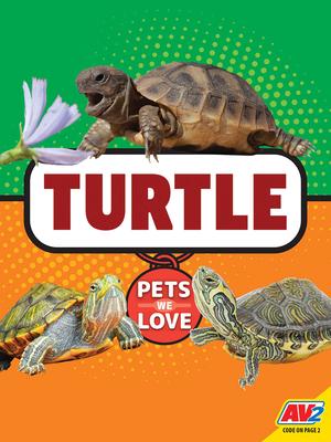 Turtle Subscription