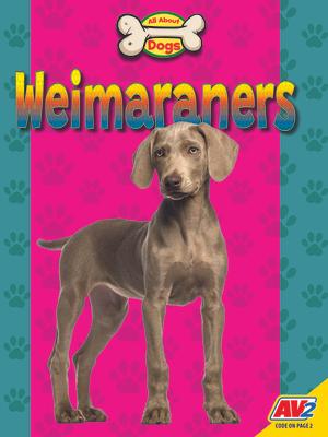 Weimaraners