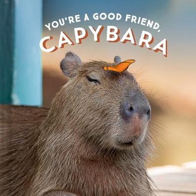 You're a Good Friend, Capybara