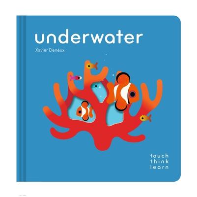 Touchthinklearn: Underwater Subscription