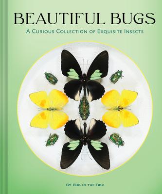 Beautiful Bugs: A Curious Collection of Exquisite Insects Subscription