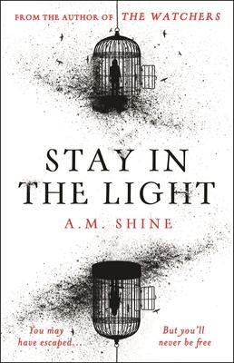 Stay in the Light: The Chilling Sequel to the Watchers, Now Adapted Into a Major Motion Picture