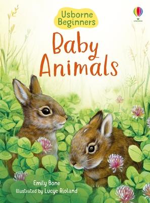 Baby Animals Subscription
