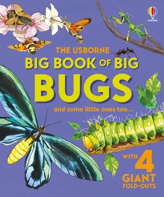 Big Book of Big Bugs Subscription