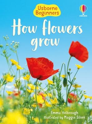 How Flowers Grow (Usborne Beginners) Subscription