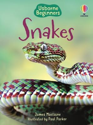 Snakes (Usborne Beginners) Subscription