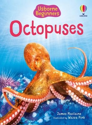 Beginners Octopuses Subscription