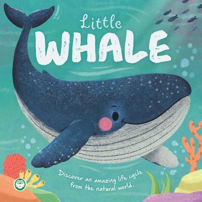 Nature Stories: Little Whale: Discover an Amazing Story from the Natural World Subscription