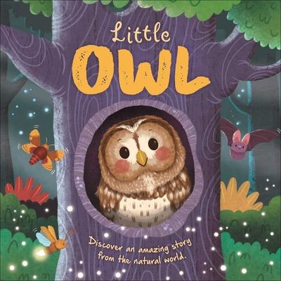 Nature Stories: Little Owl-Discover an Amazing Story from the Natural World: Padded Board Book