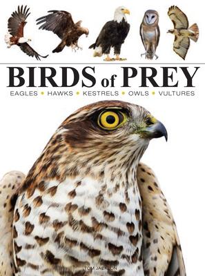 Birds of Prey