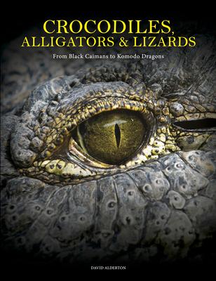 Crocodiles, Alligators & Lizards: From Black Caimans to Komodo Dragons