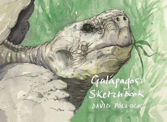 A Galpagos Sketchbook