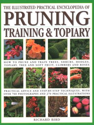 Illustrated Practical Encyclopedia of Pruning, Training and Topiary: How to Prune and Train Trees, Shrubs, Hedges, Topiary, Tree and Soft Fruit, Climb