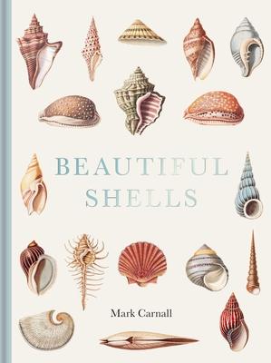 Beautiful Shells: George Perry's Conchology