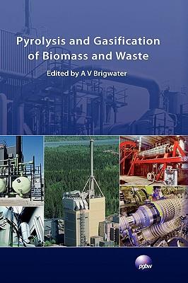 Pyrolysis and Gasification of Biomass and Waste, Hardcover ...