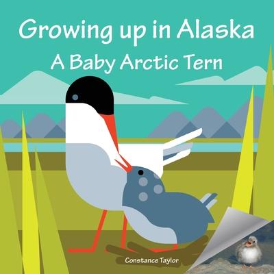 Growing up in Alaska: A Baby Arctic Tern