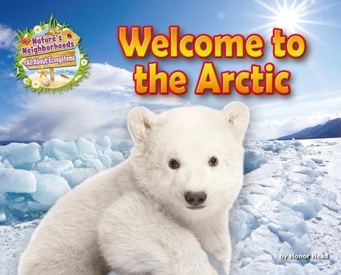 Welcome to the Arctic