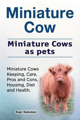 Miniature Cow. Miniature Cows as pets. Miniature Cows Keeping, Care, Pros and Cons, Housing, Diet and Health.