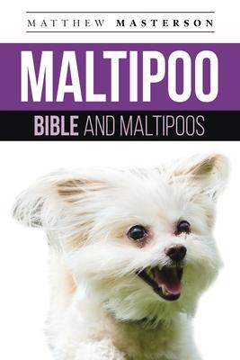 Maltipoo Bible And Maltipoos: Your Perfect Maltipoo Guide Maltipoo, Maltipoos, Maltipoo Puppies, Maltipoo Dogs, Maltipoo Breeders, Maltipoo Care, Ma