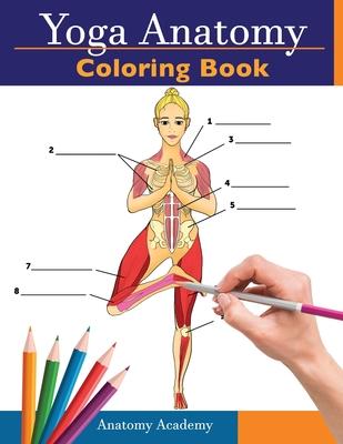 Yoga Anatomy Coloring Book: 3-in-1 Collection Set 150+ Incredibly Detailed Self-Test Beginner, Intermediate & Expert Yoga Poses Color workbook Subscription