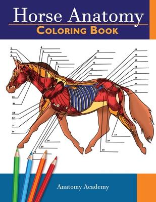 Horse Anatomy Coloring Book: Incredibly Detailed Self-Test Equine Anatomy Color workbook Perfect Gift for Veterinary Students, Horse Lovers & Adult