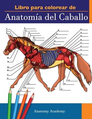 Libro para colorear de Anatoma del Caballo: Libro de Colores de Autoevaluacin muy Detallado de la Anatoma Equina El Regalo Perfecto Para Estudiante