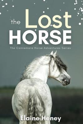 The Lost Horse - Book 6 in the Connemara Horse Adventure Series for Kids