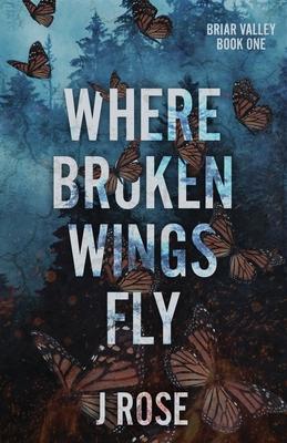 Where Broken Wings Fly