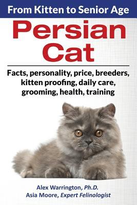 Persian Cat: From Kitten to Senior Age