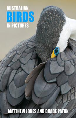 Australian Birds in Pictures