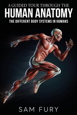 A Guided Tour Through the Human Anatomy: The Different Body Systems In Humans