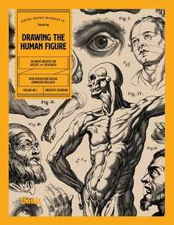 Drawing the Human Figure by Kale James, Paperback - DiscountMags.com