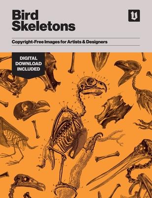 Bird Skeletons: Copyright-Free Images for Artists & Designers Subscription